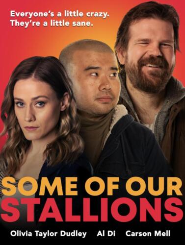 Some Of Our Stallions Movie Poster